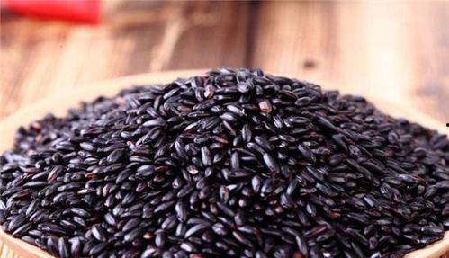 黑米与老瓜能一起吃吗宝宝,宝宝饮食搭配指南