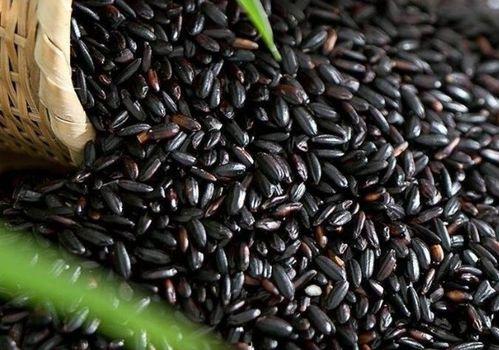 黑米与老瓜能一起吃吗有毒吗