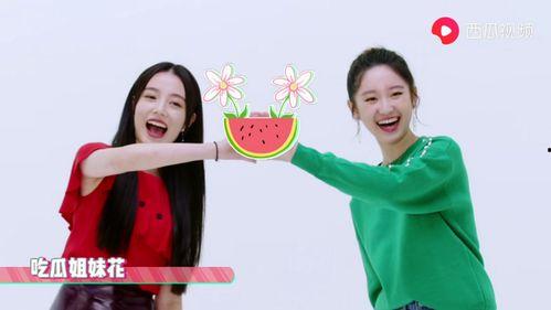 采访爆料吃瓜博主视频,揭秘网红博主吃瓜爆料背后的真相